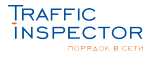 TRAFFIC INSPECTOR